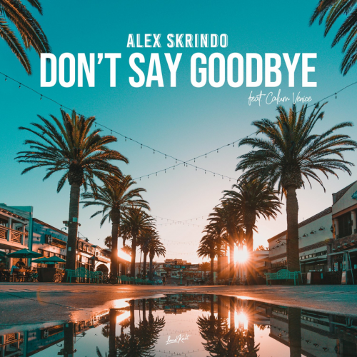 Alex Skrindo feat. Calum Venice - Don't Say Goodbye