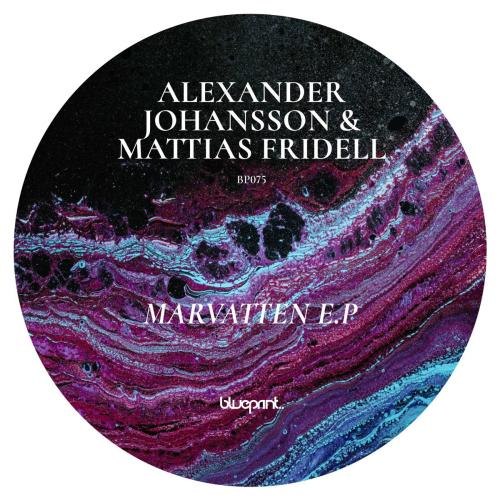Alexander Johansson & Mattias Fridell - Sejnfall