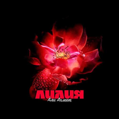 Али Ахмет - Лилия