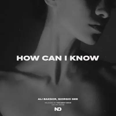 How Can I Know - Ali Bakgor, Giorgio Gee