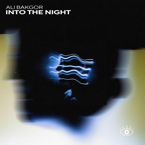 Ali Bakgor - Into The Night