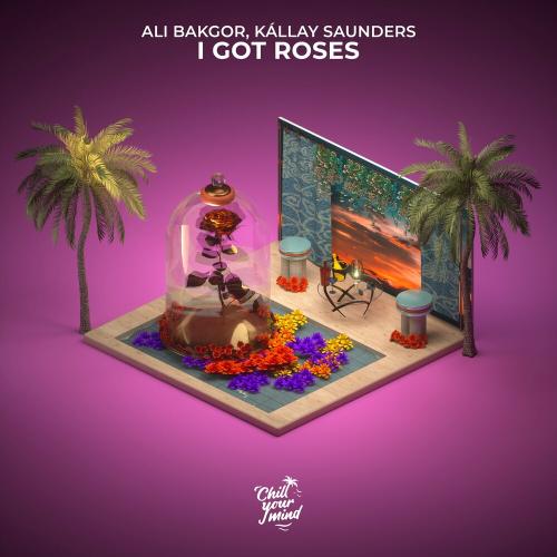 Ali Bakgor & Kállay Saunders - I Got Roses
