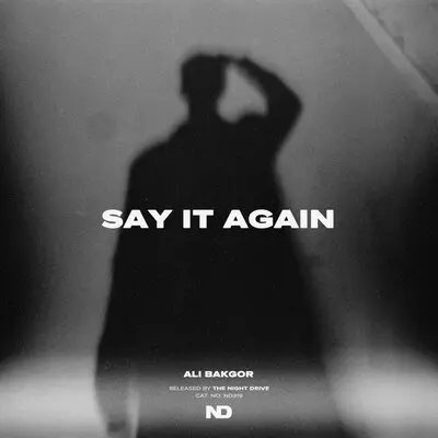 Say It Again - Ali Bakgor