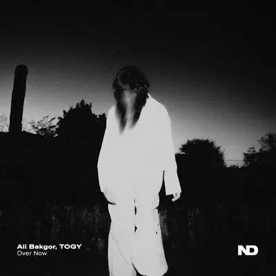 Over Now - Ali Bakgor, Togy