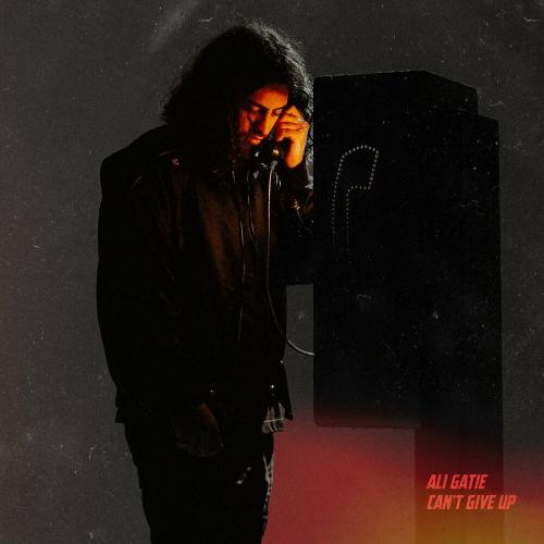 Cant Give Up - Ali Gatie