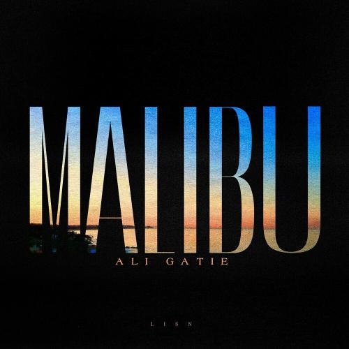 Ali Gatie - Malibu
