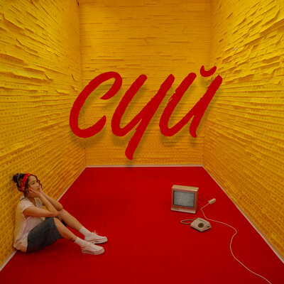 Сүй - Alina Gerc