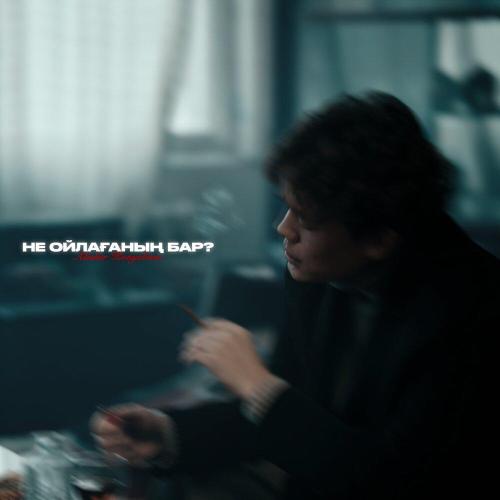 Alisher Konysbaev - Не ойлағаның бар？