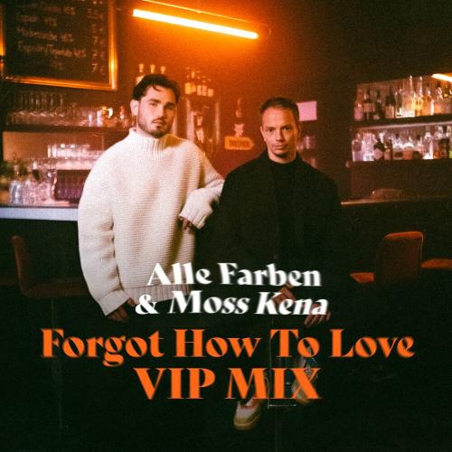 Alle Farben feat. Moss Kena - Forgot How To Love (VIP Mix)