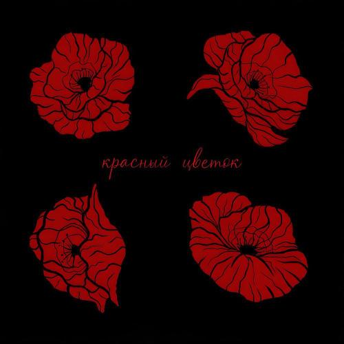 ALMA - КРАСНЫЙ ЦВЕТОК