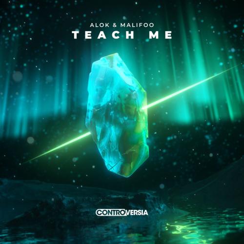Teach Me - Alok feat. Malifoo