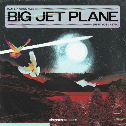 Alok feat. Mathieu Koss - Big Jet Plane (Pharmacist Remix)