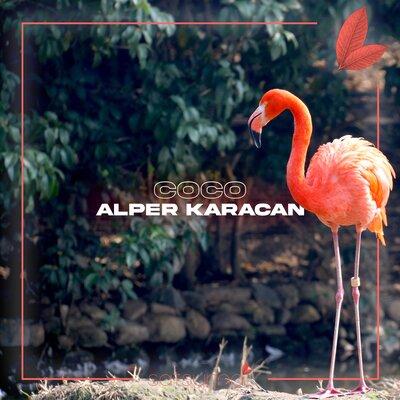 Coco - Alper Karacan