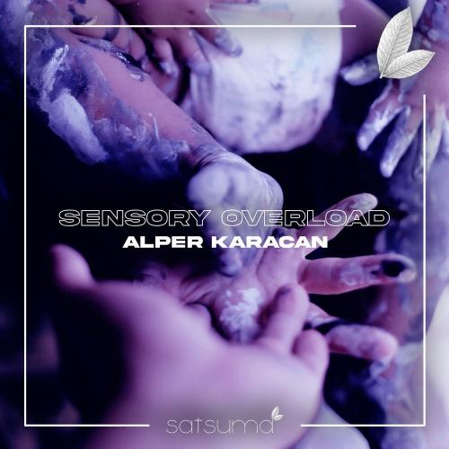 Sensory Overload - Alper Karacan