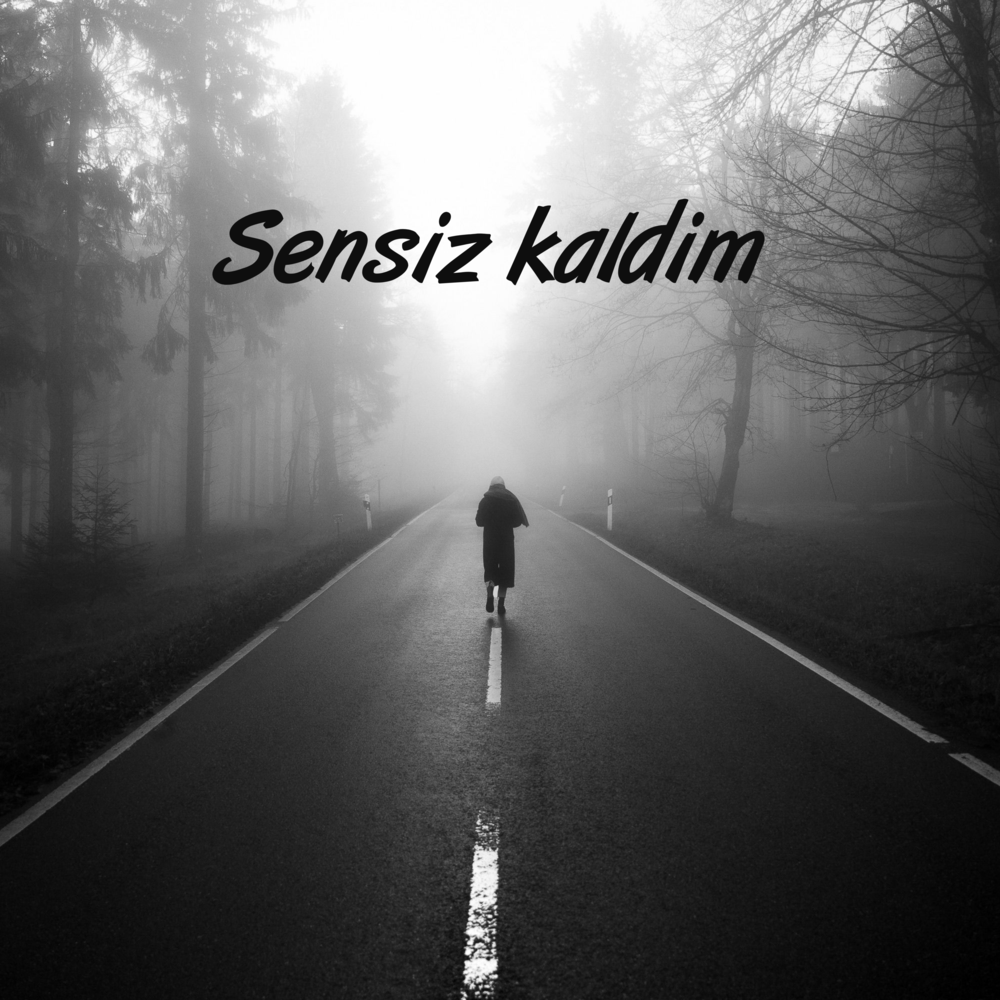 Sensiz kaldim - Alsa