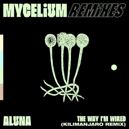 Aluna - The Way I Am Wired (Kilimanjaro Remix)