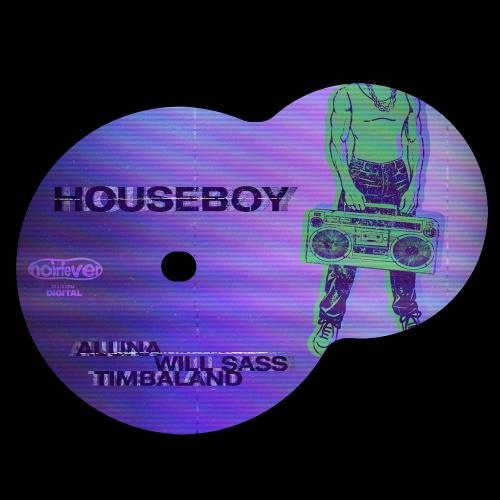 Aluna & Will Sass & Timbaland - Houseboy