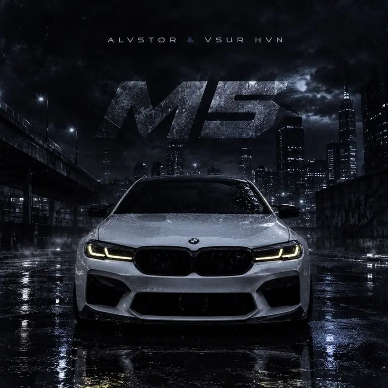 M5 - ALVSTOR & VSUR HVN