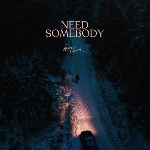 Always Never - Need Somebody