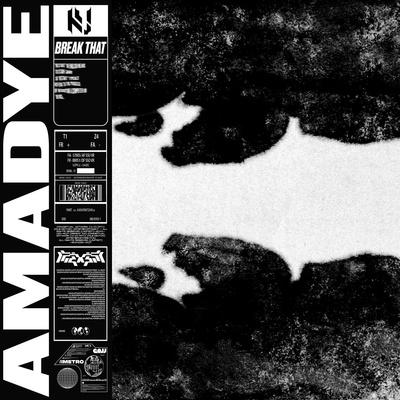 BREAK THAT - Amadye