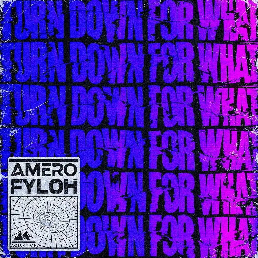 Turn Down for What (Slowed) - Amero & Fyloh