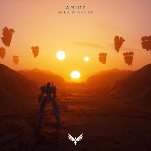 Amidy & Danny Olson - Gravity