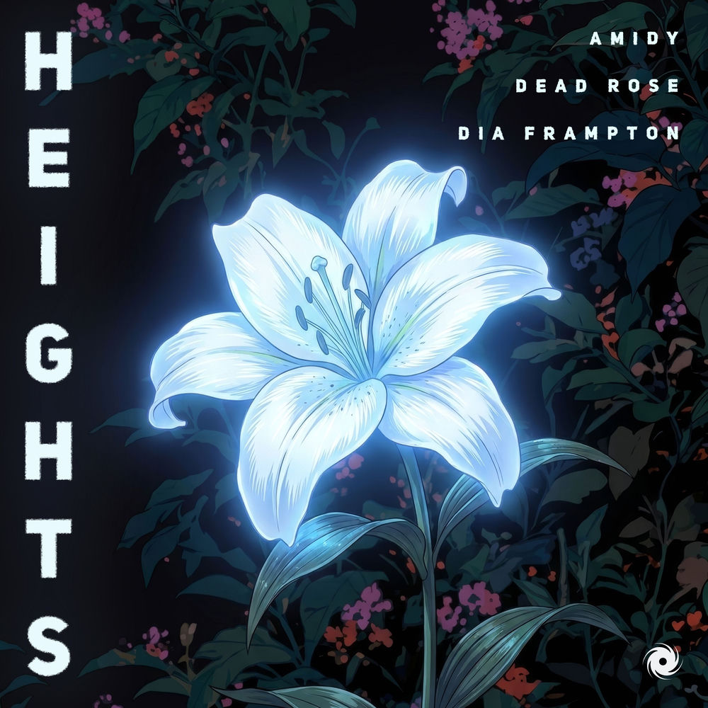 Amidy, Dead Rose & Dia Frampton - Heights