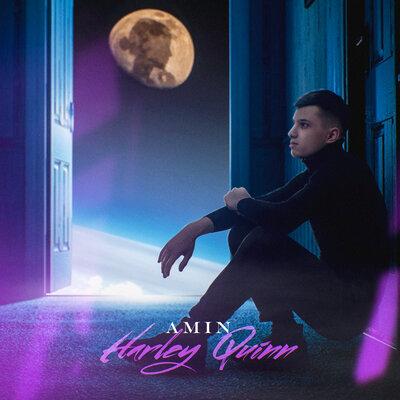 Amin - Harley Quinn
