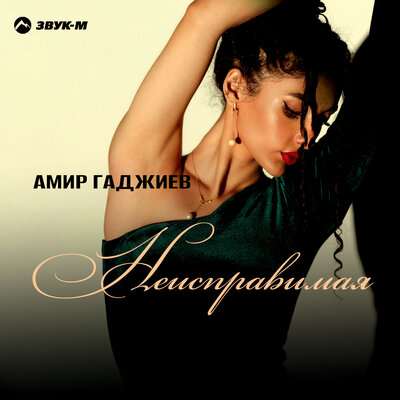 Неисправимая - Амир Гаджиев
