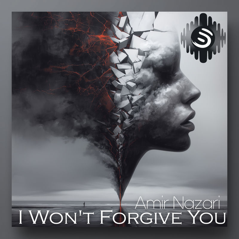 I Won't Forgive You - Amir Nazari