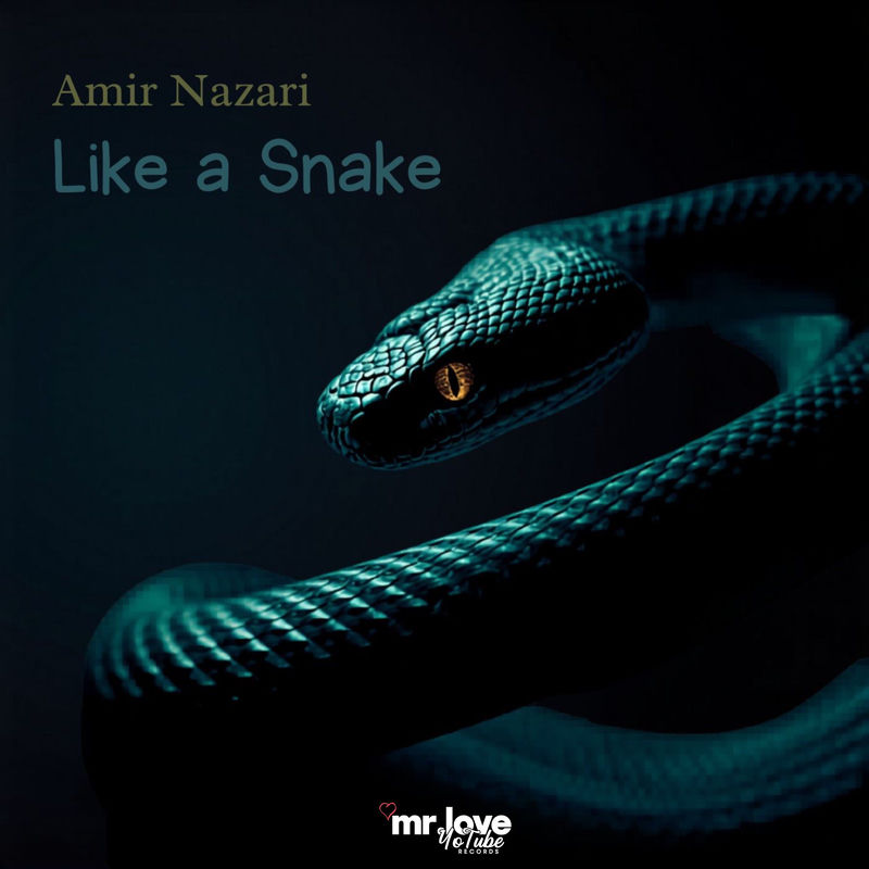 Like A Snake - Amir Nazari