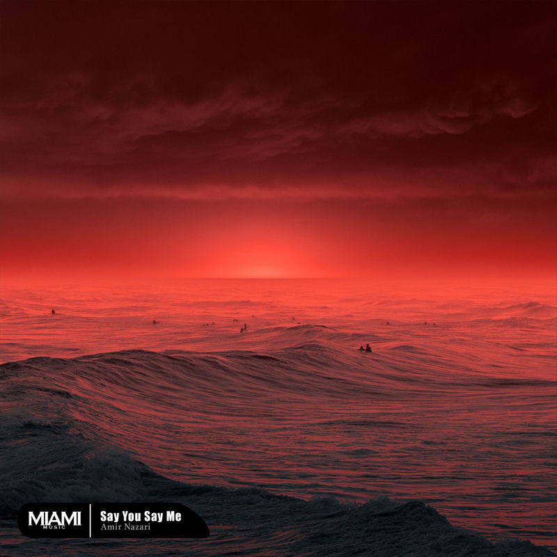 Say You Say Me - Amir Nazari