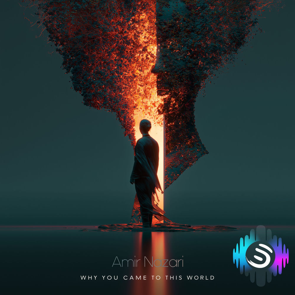 Why You Came To This World - Amir Nazari