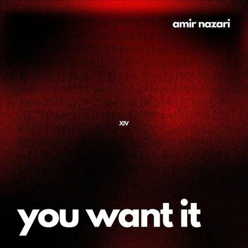 You Want It - Amir Nazari
