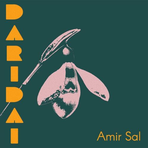Amir Sal - Darıdaı