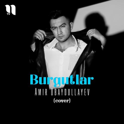 Burgutlar (Cover) - Amir Ubaydullayev