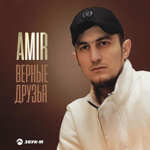 Верные друзья - Amir
