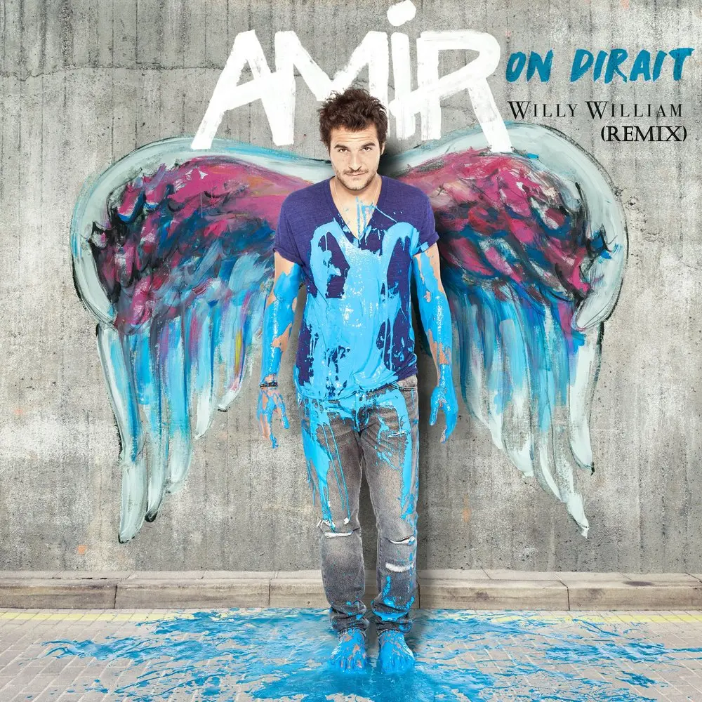On dirait (Willy William Remix) - Amir, Willy William