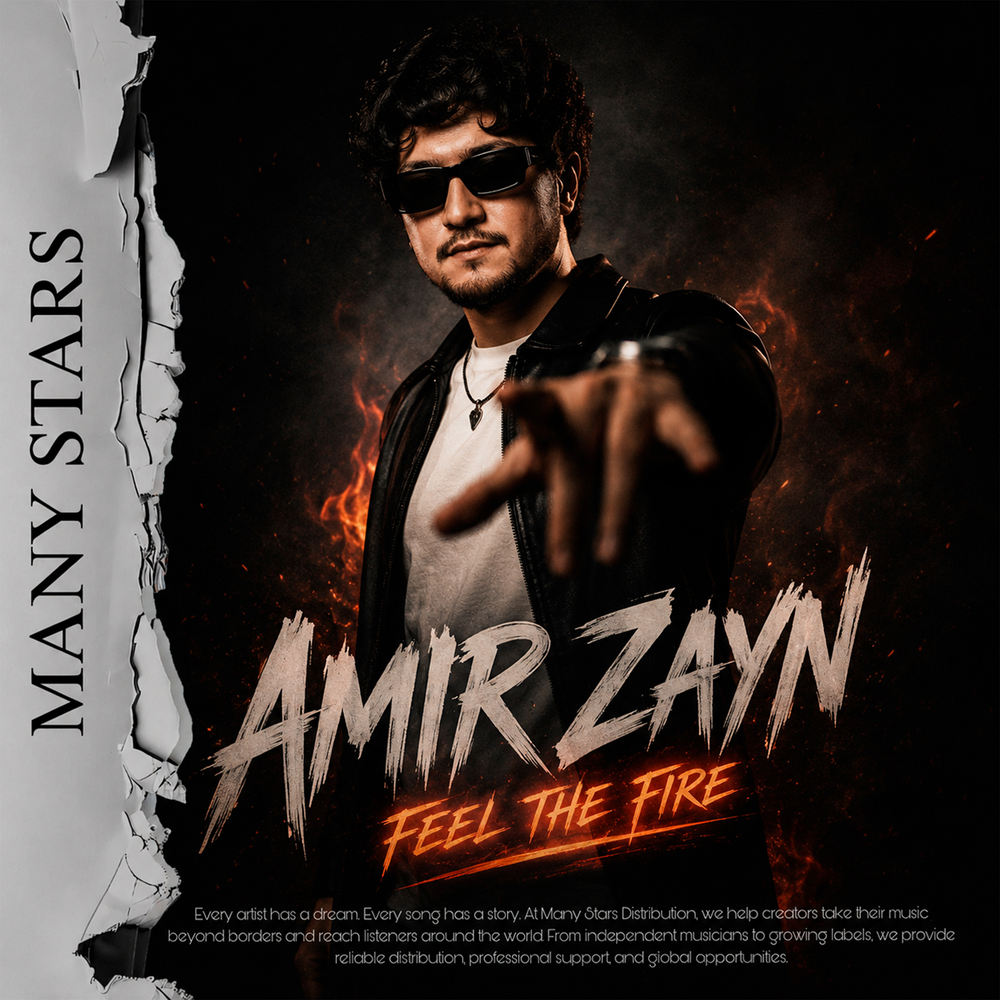 Feel the Fire - Amir Zayn
