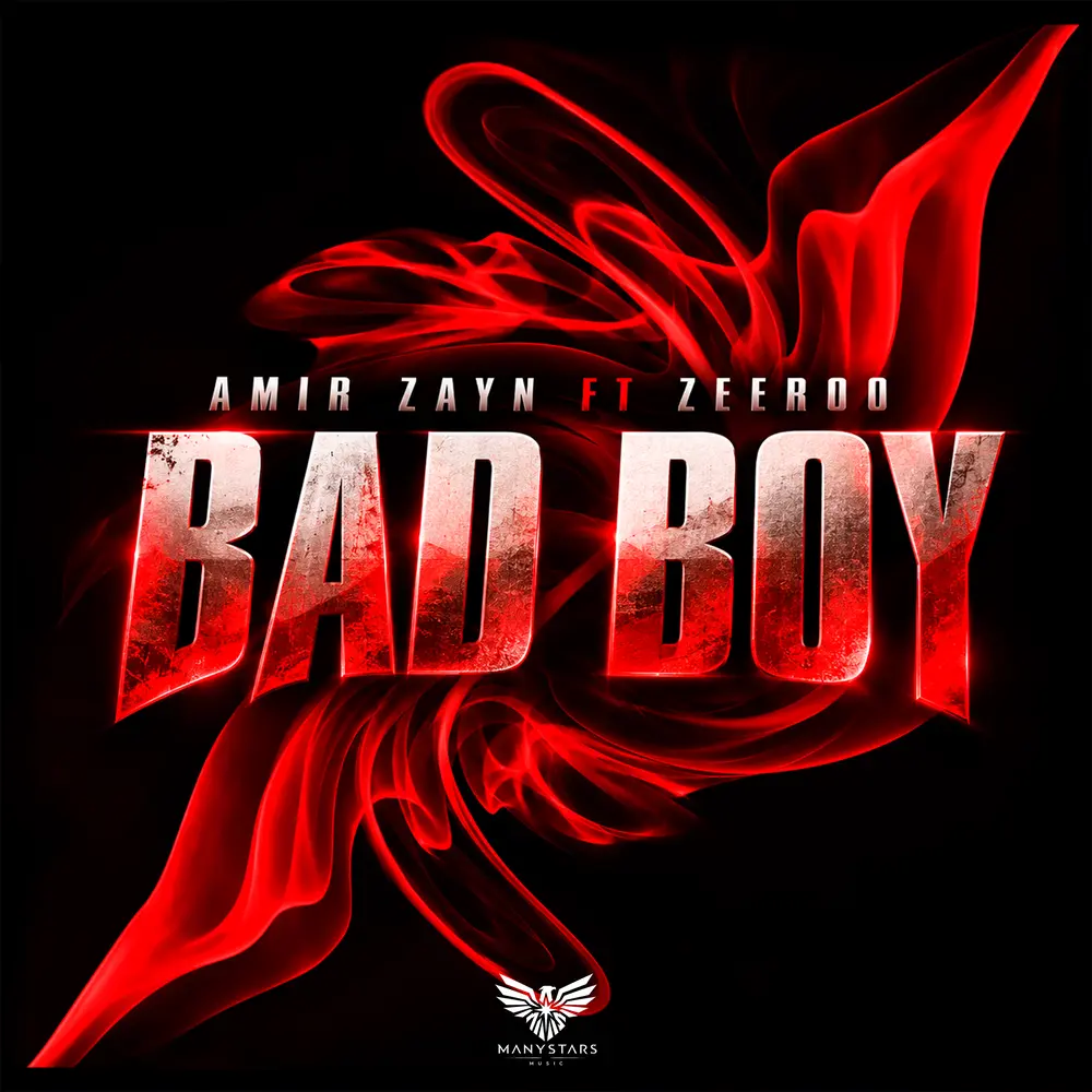 Bad Boy - Amir Zayn, Zeeroo