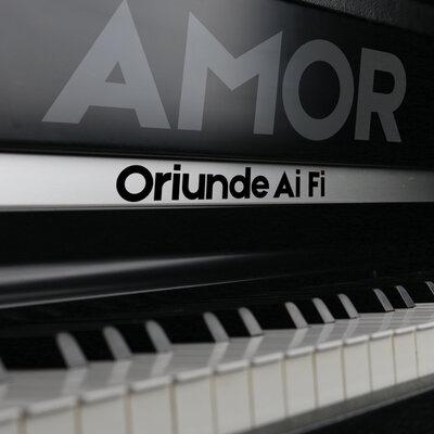 Oriunde ai fi - AMOR