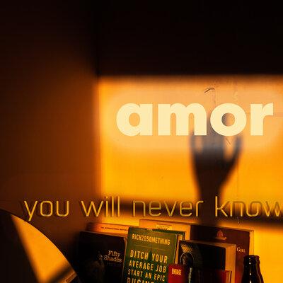 AMOR - You Will Never Know