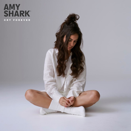 Amy Shark - All the Lies About Me