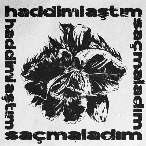 Haddimi Aştım Saçmaladım - Anıl Bayraktar