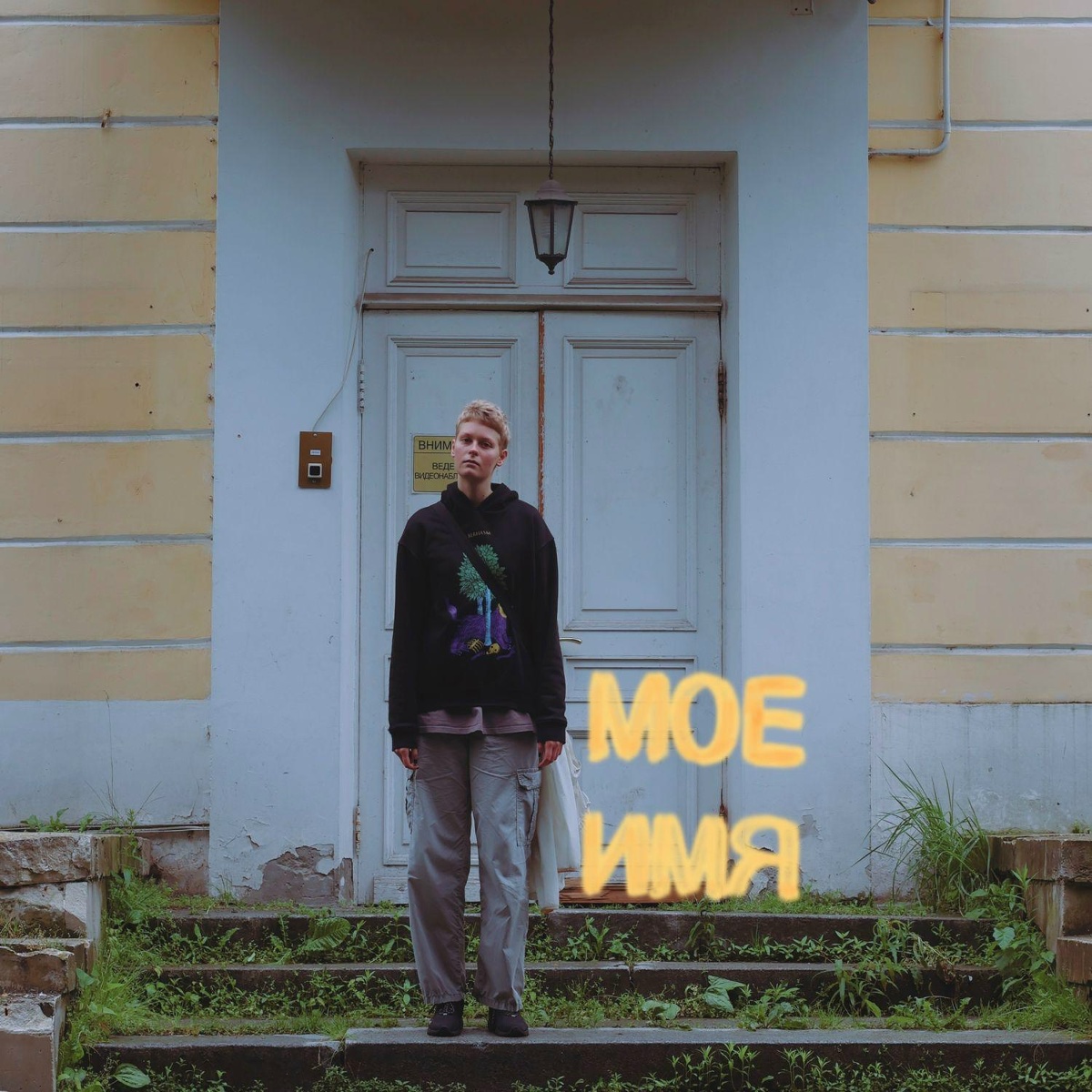 Моё имя - Anatoly Ice, Вера Вереск