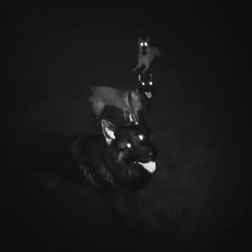 Anatu - Blink