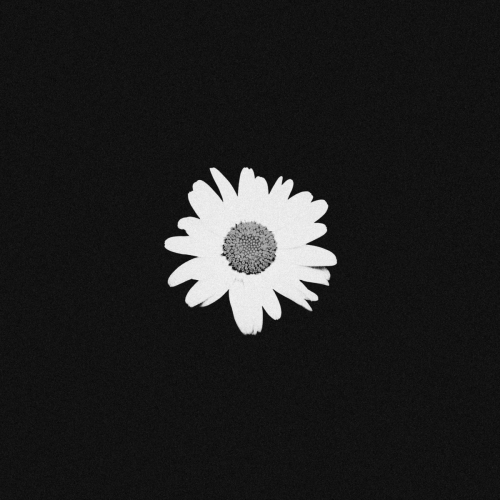 keep coming back - anatu