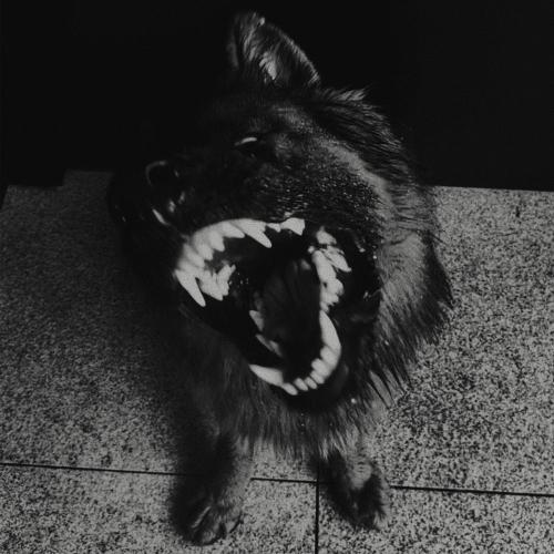 Anatu - Refuge