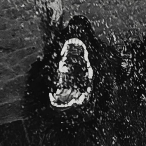 Anatu - Thread
