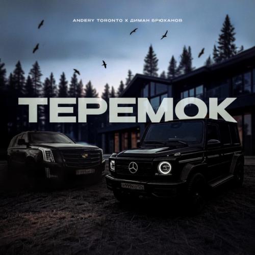 Andery Toronto & Диман Брюханов - ТЕРЕМОК